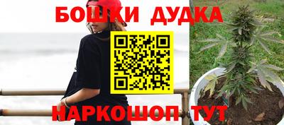 a pvp Новокубанск