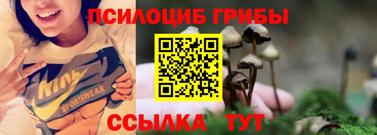 Галлюциногенные грибы ЛСД  Вход с VPN  Волгоград  где найти наркотики  Псилоцибиновые грибы мицелий 