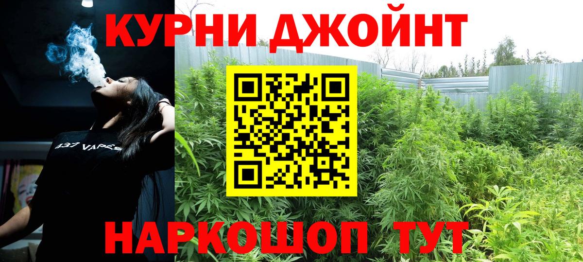 Каннабис конопля Волгоград